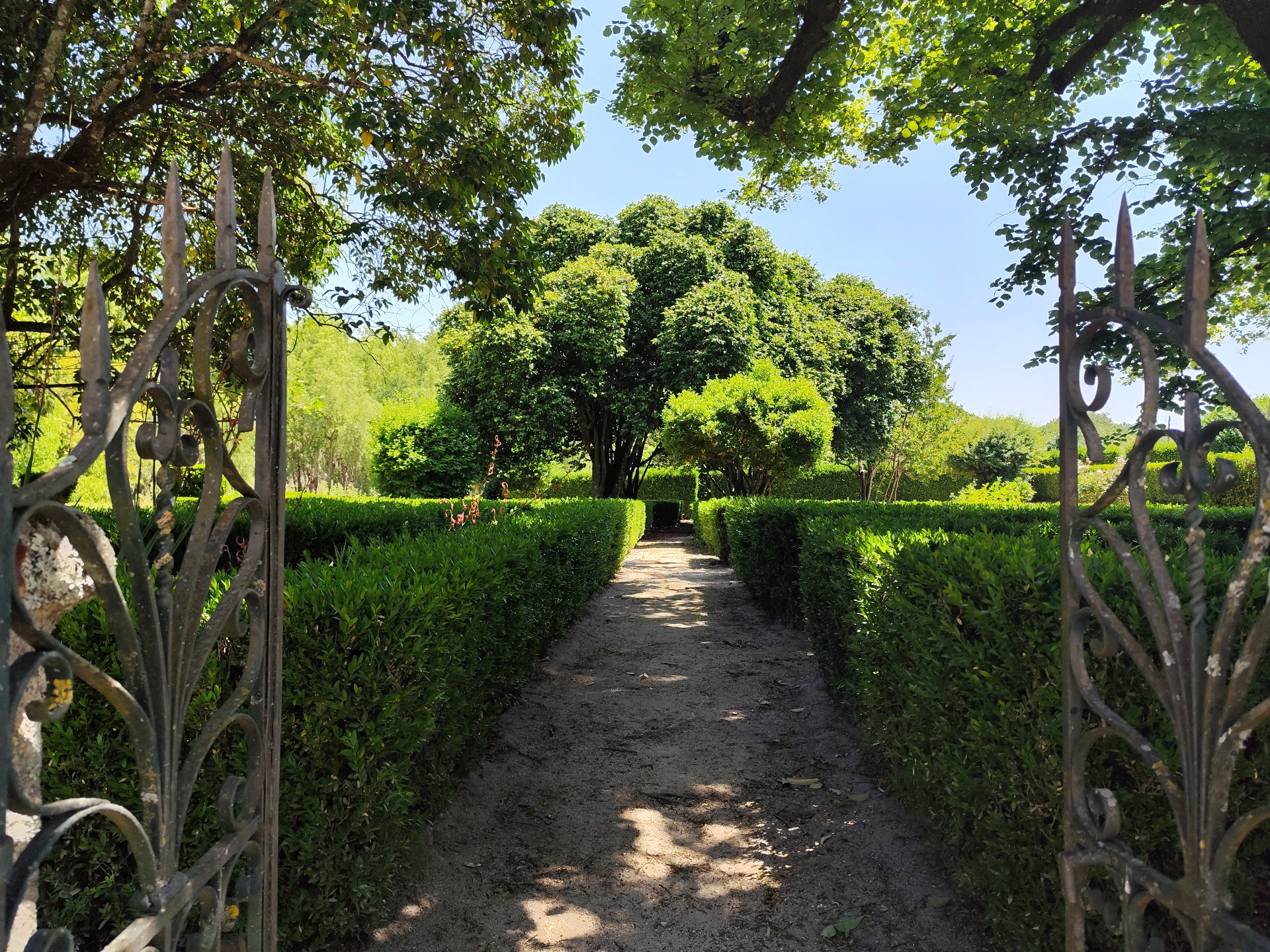 Jardim