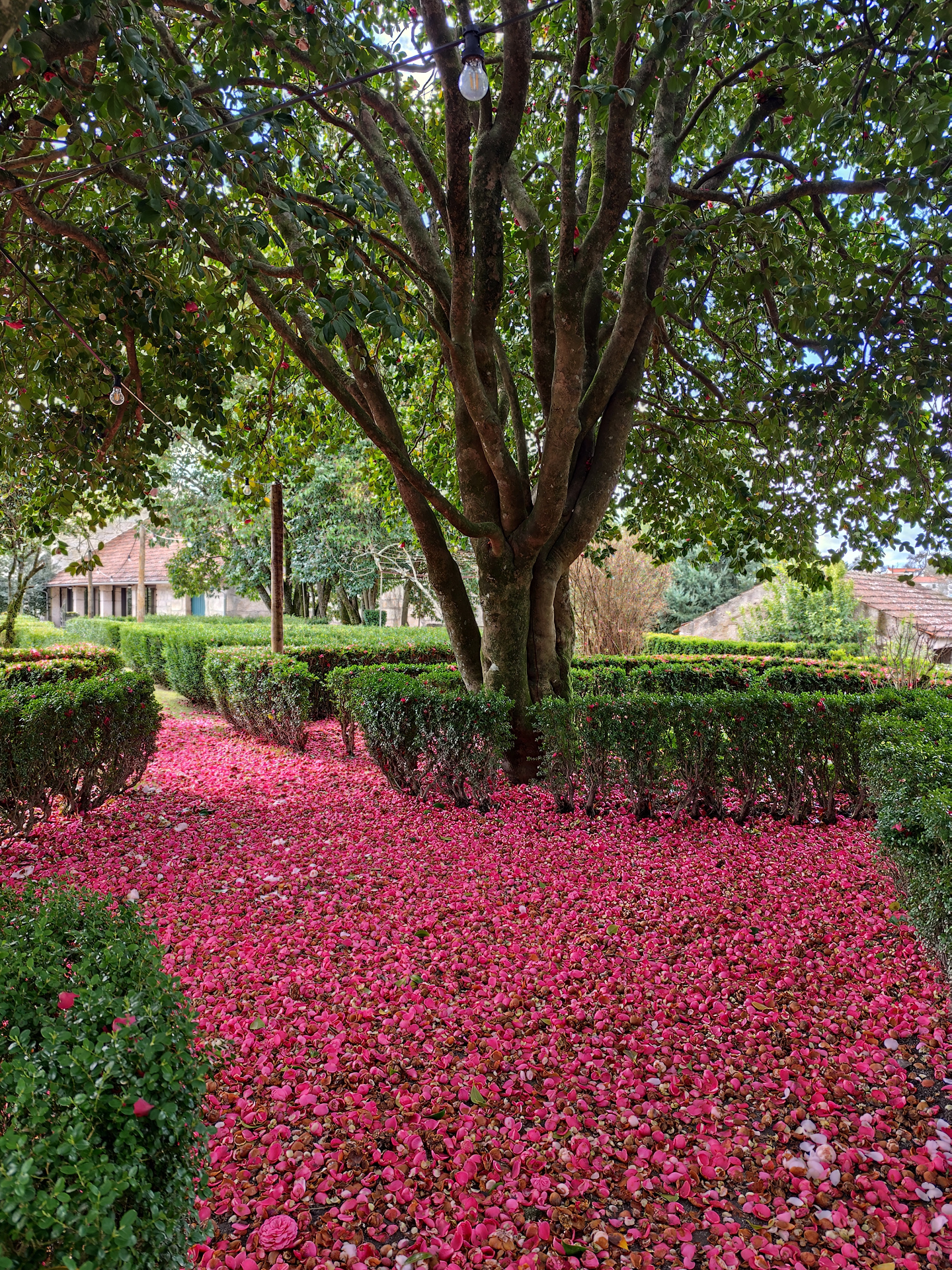 Gardens of Solar de Vilar Seco